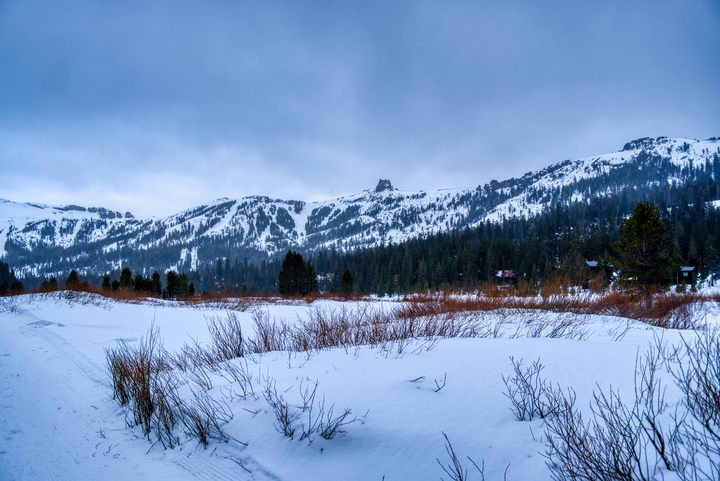 Amador County / United States / 2024