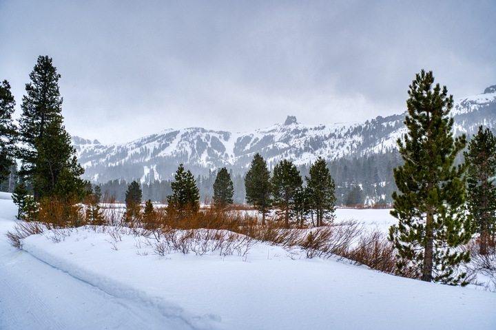 Amador County / United States / 2024