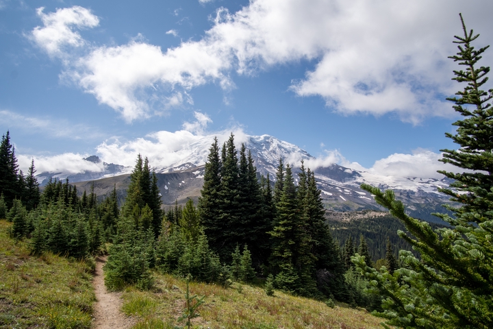 Cover photo for Mt. Rainer 2024 album