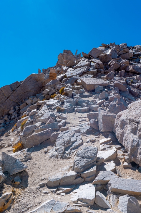 Tulare / United States / 2024