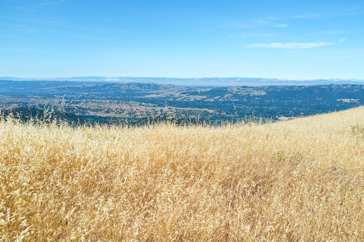 Cover photo for Mt. Diablo album