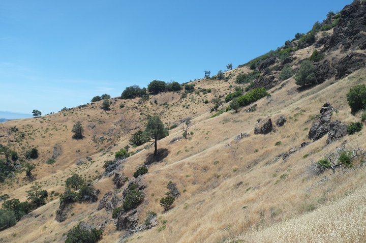 Oakley / United States / 2024