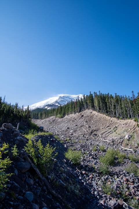 Tower / Pierce / 2024