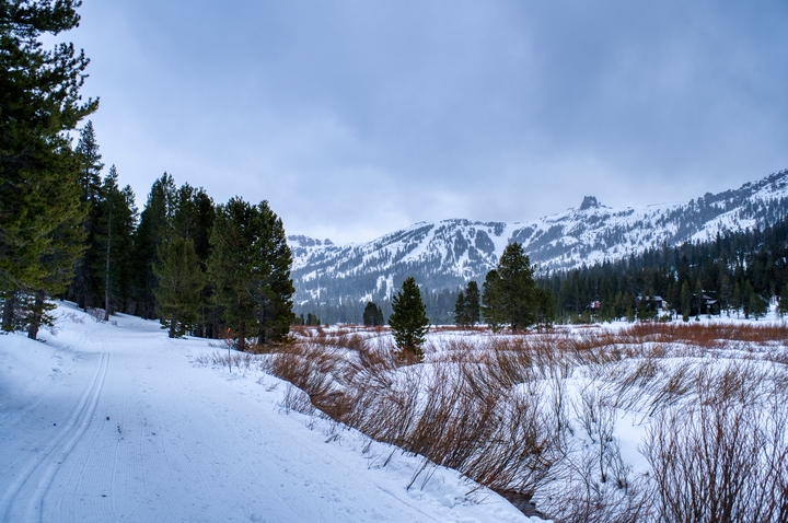 Amador County / United States / 2024