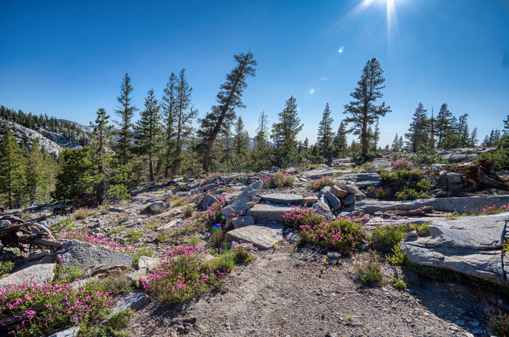 Madera County / United States / 2025