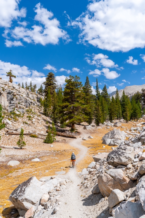 Nature / Tulare County / 2024