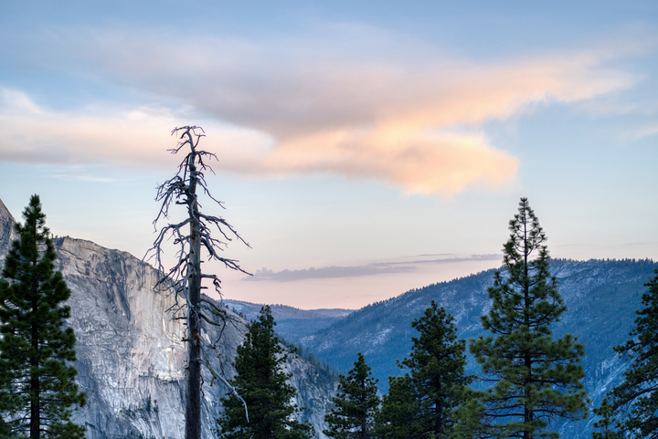 Mariposa County / United States / 2026