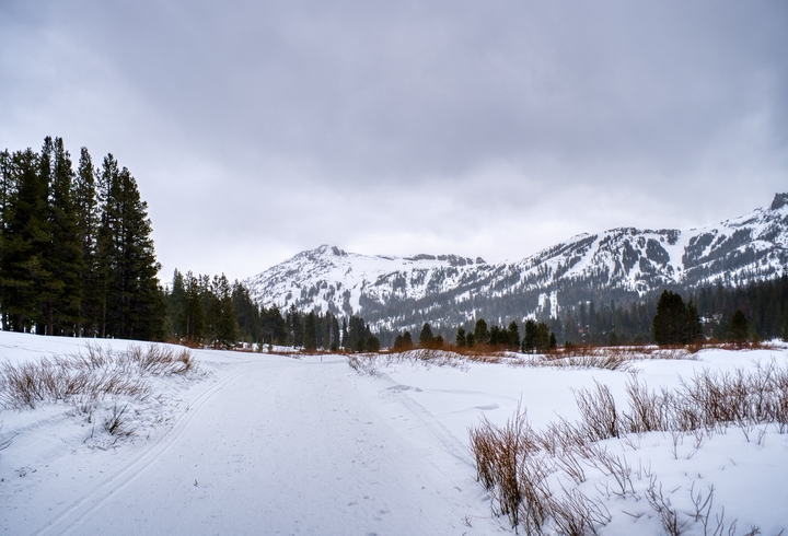 Amador County / United States / 2024