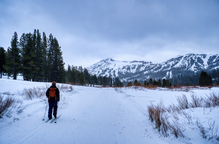 Amador County / United States / 2024