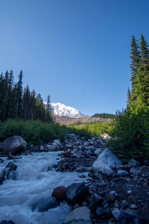 Tower / Pierce / 2024