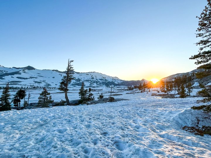 Mountain / El Dorado County / 2023