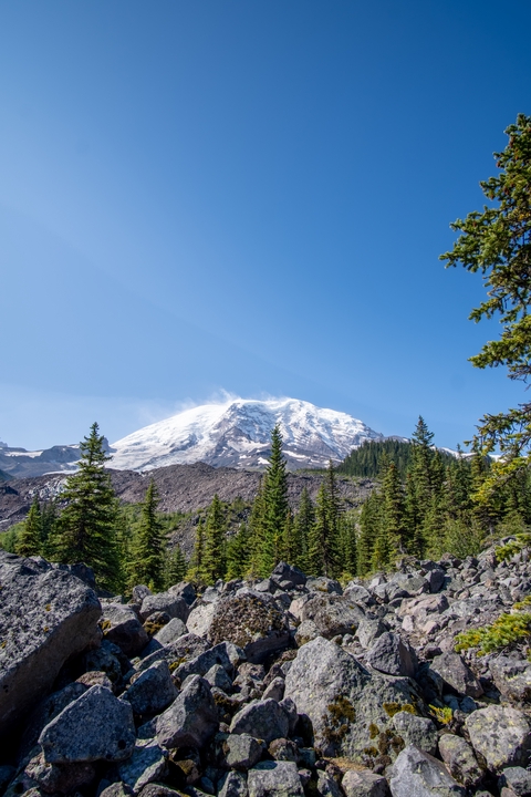 Tower / Pierce / 2024